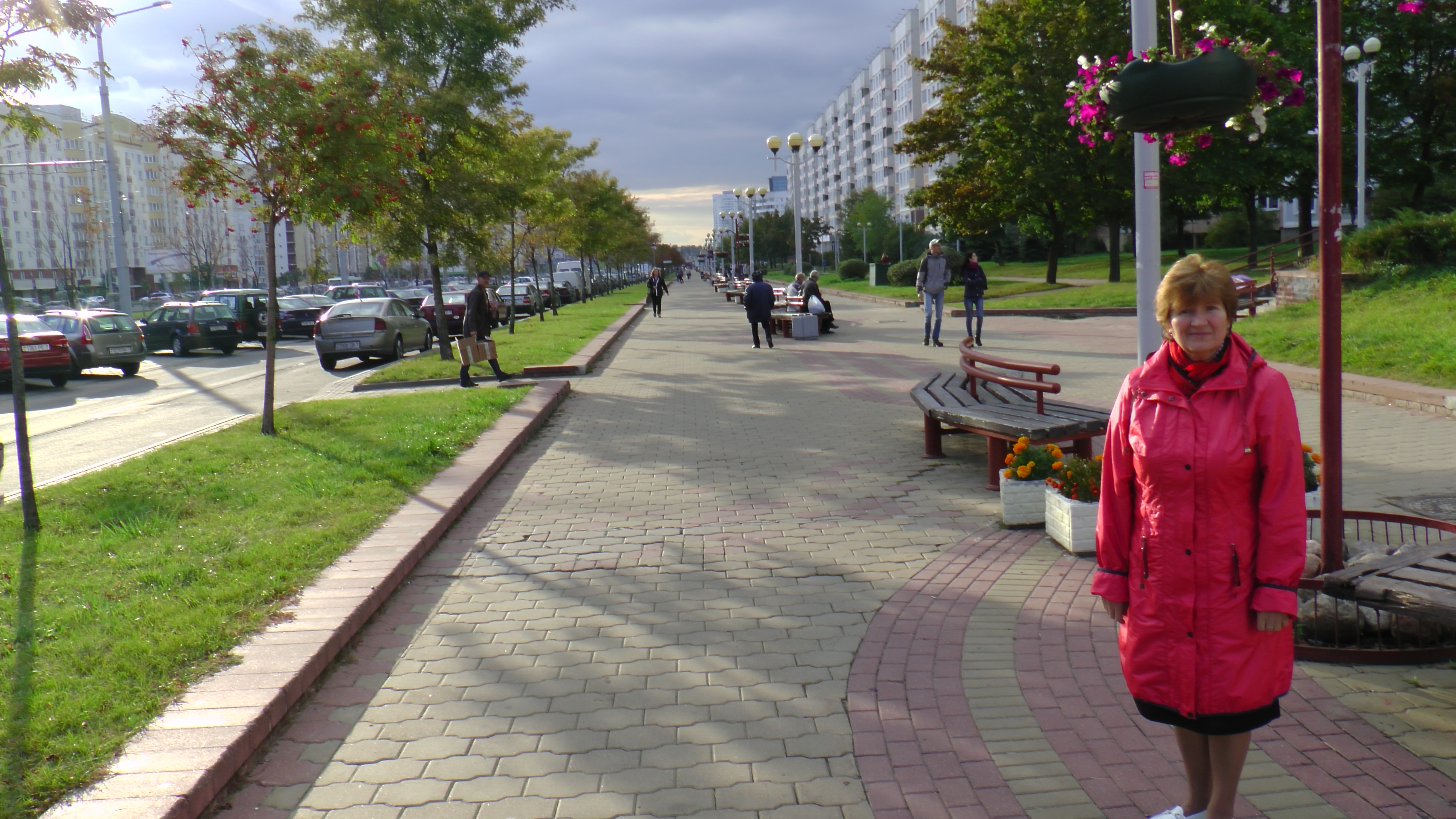 subheader_bg